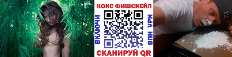 купить наркотик  Талица  COCAIN Колумбийский 