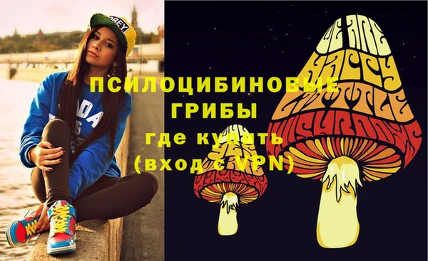 гидропоника Арсеньев