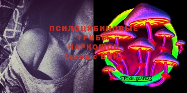 гашик Армянск