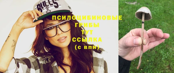 гидропоника Арсеньев
